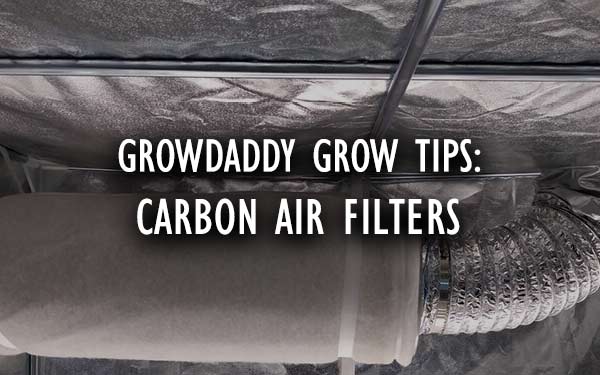 Controlling Grow Room Odor With Carbon Filters