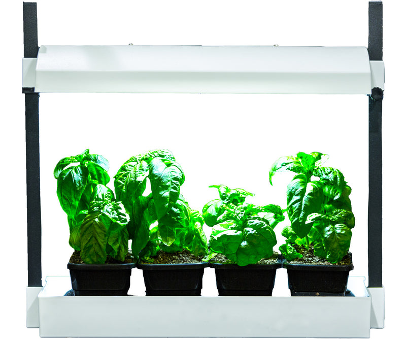 SunBlaster: LED Micro Garden - GrowDaddy