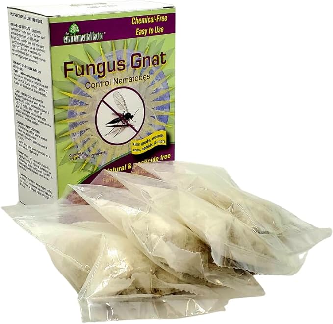 Photo inspiration: The Enviromental Factor Fungus Gnat Control 2 X 5 Million Photo Inspiration