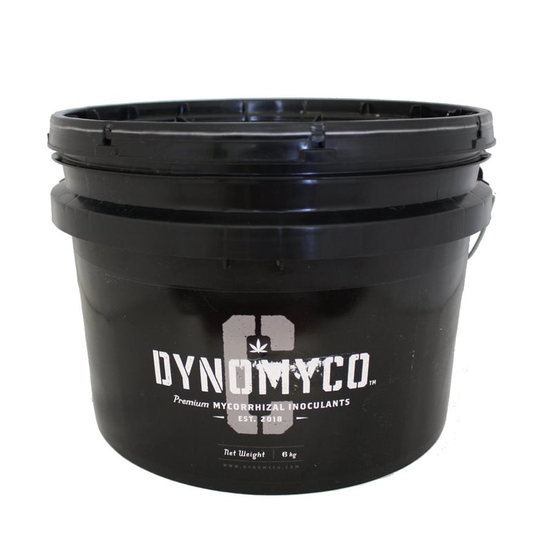 Dynomyco Premium Mycorhizal Inoculant - GrowDaddy