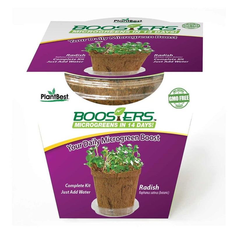 Booster™ Microgreen Radishes: Microgreens in 14 Days - GrowDaddy