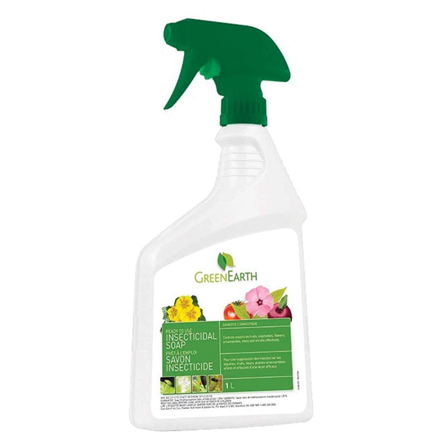 raid earth options insecticidal soap Green Earth: Insecticidal Soap– GrowDaddy