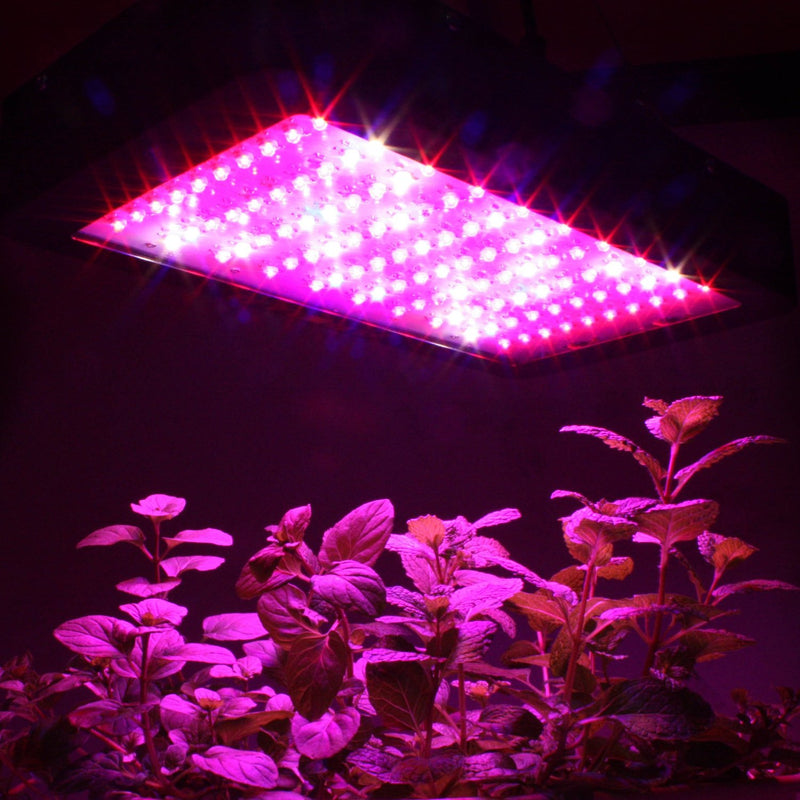Which grow light is best for you?