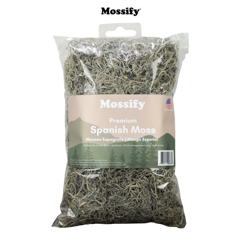 Mossify Spanish Moss Small Bag - GrowDaddy