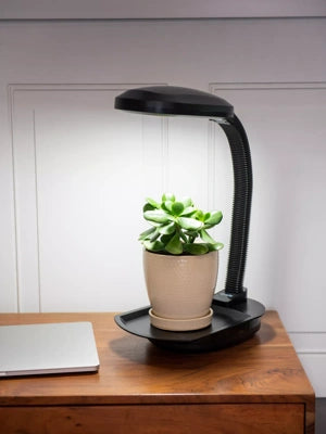 Agrobrite Desk Top LED Plant Lamp 14W - GrowDaddy
