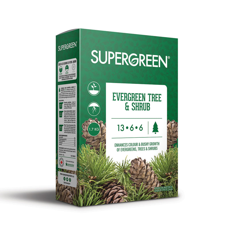 SuperGreen Evergreen Tree & Shrub 13-6-6 1.7kg - GrowDaddy