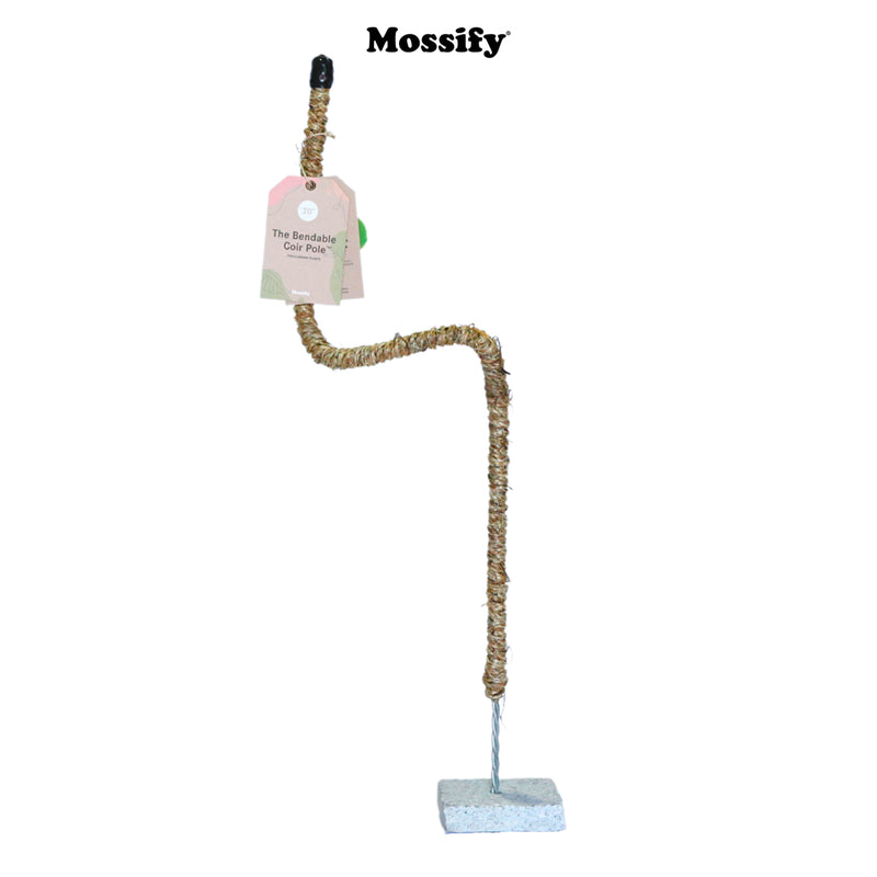Mossify Bendable Coir Pole™ - 30" - GrowDaddy