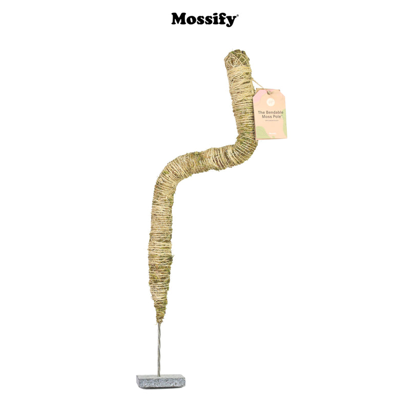 Mossify Bendable Moss Pole™ - 30" - GrowDaddy