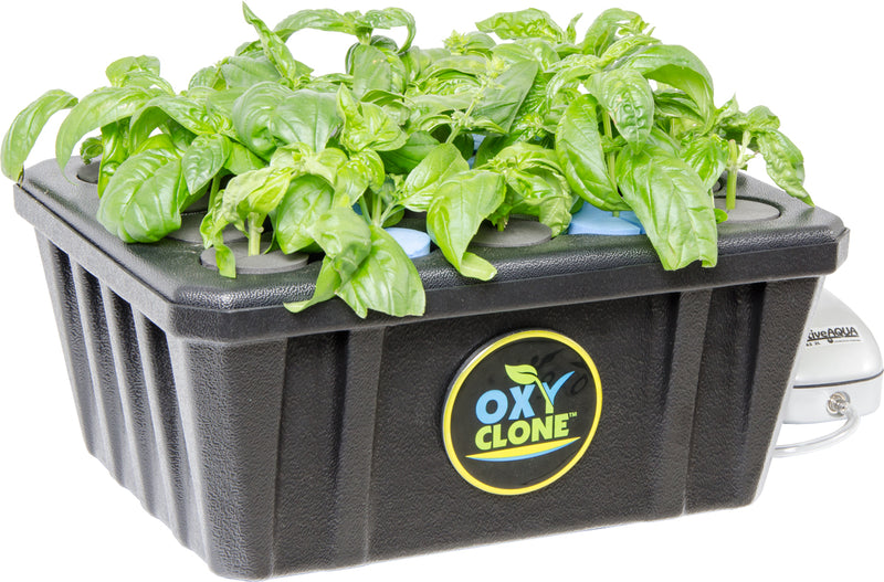 oxyCLONE PRO Series 20 Site Cloning System - GrowDaddy