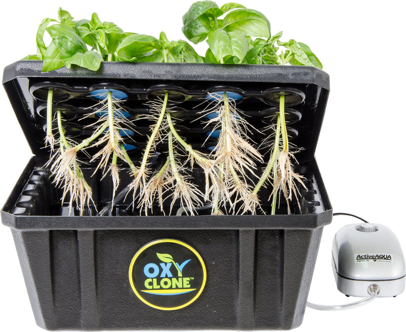 oxyCLONE PRO Series 20 Site Cloning System - GrowDaddy