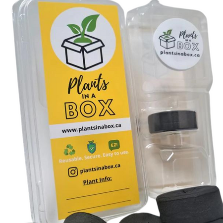 Plants In A Box Clone Shipper with LED - GrowDaddy