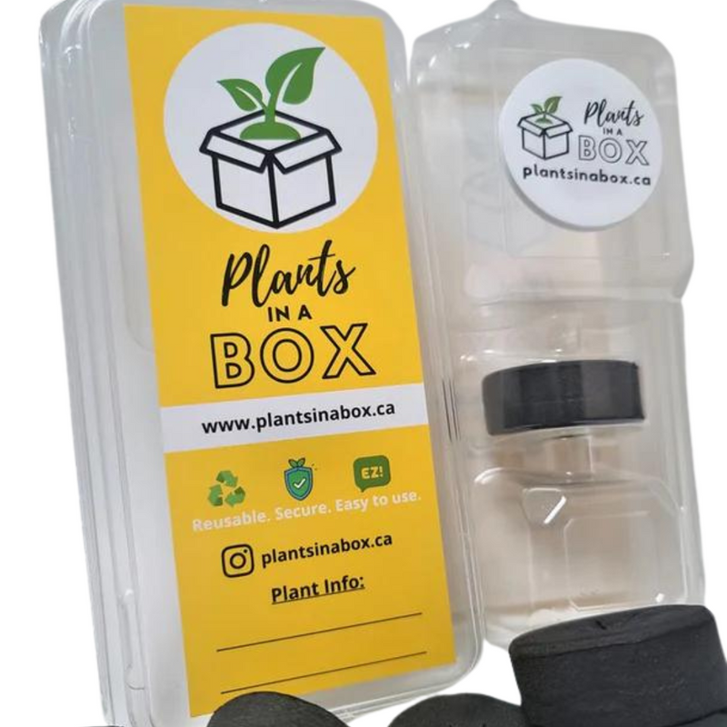 Plants In A Box Clone Shipper with LED - GrowDaddy