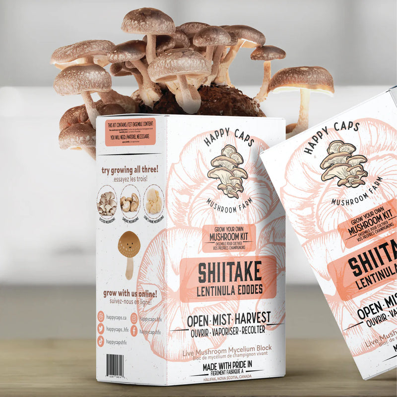 Shiitake Mushroom Kit - GrowDaddy