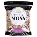 Orchid Potting Mix with Moss - GrowDaddy