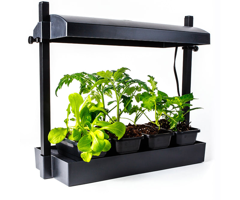 SunBlaster: LED Micro Garden - GrowDaddy