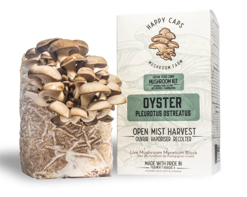 Oyster Mushroom Kit - GrowDaddy