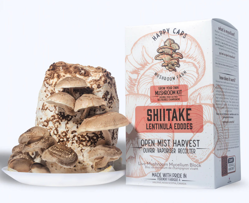 Shiitake Mushroom Kit - GrowDaddy