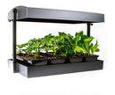 SunBlaster: LED Micro Garden - GrowDaddy