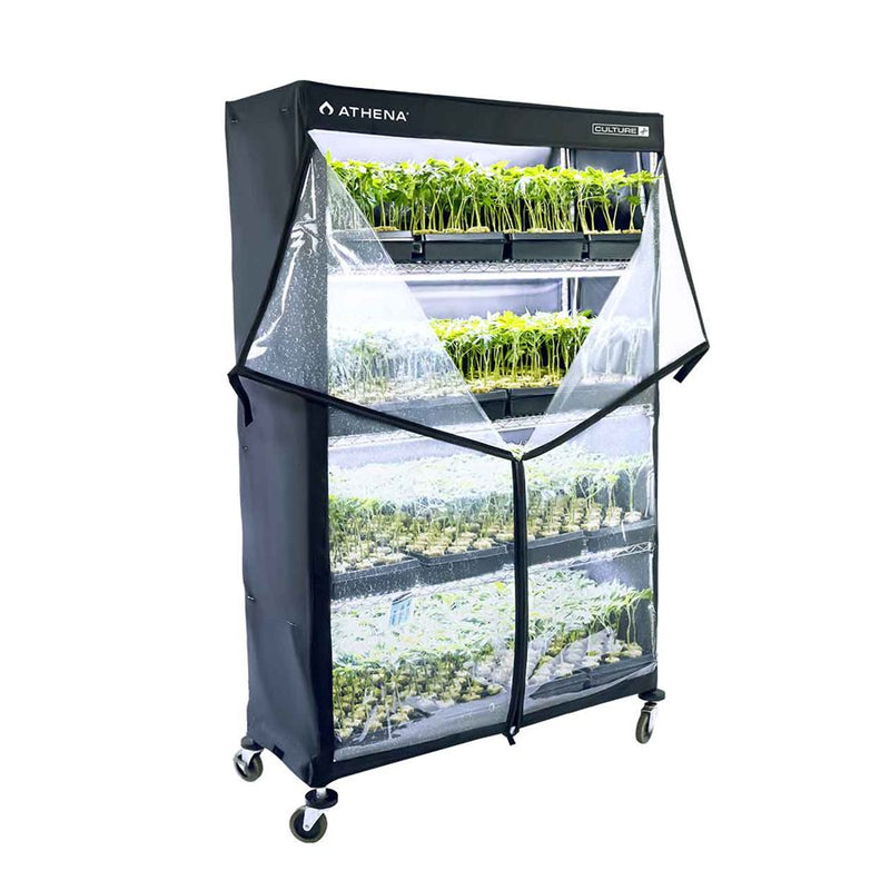 Athena  VP Dome 48'' x 72'' x 18' For propagation, Mushroom cultivation and Microgreens - GrowDaddy
