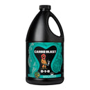 Future Harvest Liquid Carbo Blast - GrowDaddy