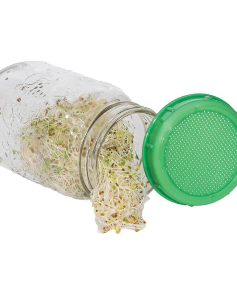 Plastic Sprouting Screen/Lid - GrowDaddy