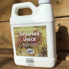 Seaweed Juice by Pure Atlantic Harvest Ocean Products - GrowDaddy