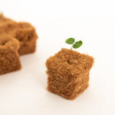 Terrafibre 2" Growing Cubes (4 pack) - GrowDaddy