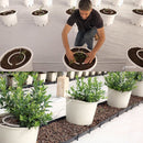 Netafim Netbow Drip Ring 5" 4 Outlets Barb (120/Cs) - GrowDaddy