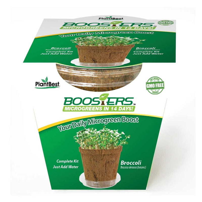 Booster™ Microgreen Broccoli: Microgreens in 14 Days - GrowDaddy