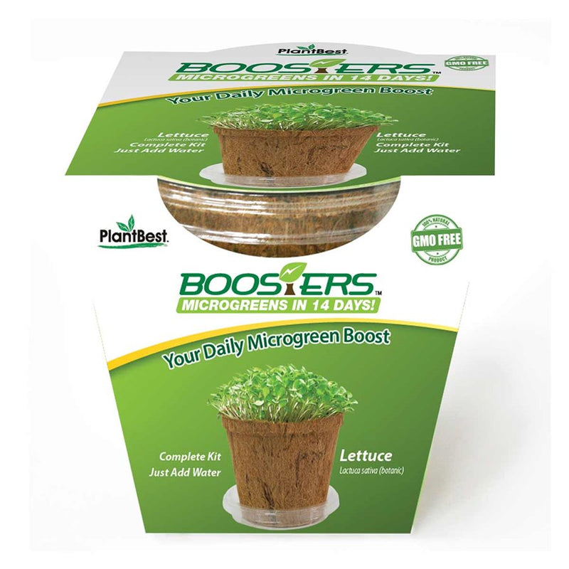 Booster™ Microgreen Lettuce: Microgreens in 14 Days - GrowDaddy