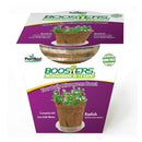 Booster™ Microgreen Radishes: Microgreens in 14 Days - GrowDaddy