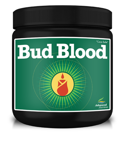 Advanced Nutrients: Bud Blood - GrowDaddy