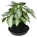 Gro Pro® NX Level Plant Elevators - GrowDaddy