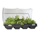 Vegepod Large Raised Garden Bed with Garden Cover - GrowDaddy