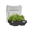 Vegepod Medium Raised Garden Bed with Garden Cover - GrowDaddy