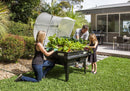 Vegepod Medium Raised Garden Bed with Garden Cover - GrowDaddy