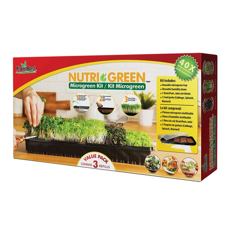 NutriGreen Microgreen Kit with Cabbage, Spin, Mustard Value Pack (3 x refills) - GrowDaddy