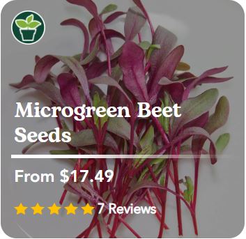 West Coast Micro Greens Collection - GrowDaddy