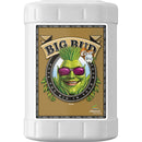 Advanced Nutrients: Big Bud Coco Liquid - GrowDaddy