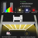 Mars Hydro FC-E6500 LED Grow Light, Full Spectrum 650W - GrowDaddy