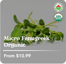 West Coast Micro Greens Collection - GrowDaddy