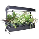 Sun Blaster Grow Light Garden - GrowDaddy