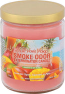 SMOKE ODOR: 13oz. Candle - GrowDaddy