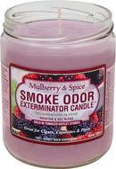 SMOKE ODOR: 13oz. Candle - GrowDaddy