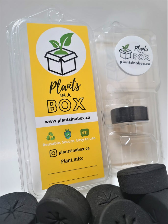 Plants In A Box Clone Shipper with LED - GrowDaddy