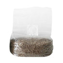 Sporeo Sterilized Grain - GrowDaddy