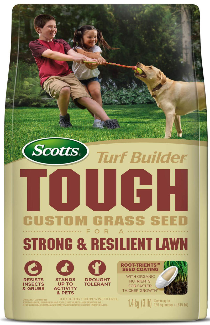 Scotts Turf Builder TOUGH Custom Grass Seed (3lb) - GrowDaddy