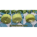 TurboKlone E96D Elite 96 Sites W / Humidity Dome - GrowDaddy